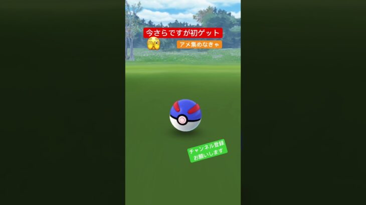 遅くなりましたが🫣 #ポケモンgo #ポケgo #ポケモン #pokemongo #pokemon #ツチニン #図鑑 #チャンネル登録お願いします #shorts