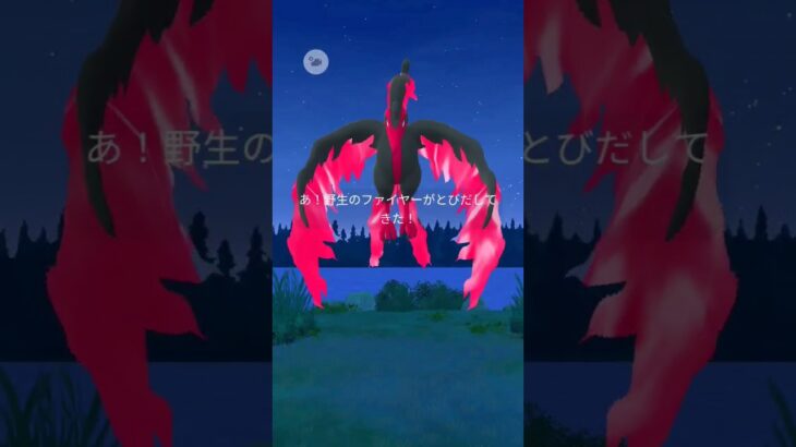 ガラルファイヤー🔥🔥久々にっっっっっ❕❕#ポケモン #ポケモンgo #pokemon #ガラルファイヤー #伝説ポケモン#激レア#🔥