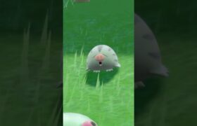ウリムー見つけた！ #ポケモン #色違い #pokemon