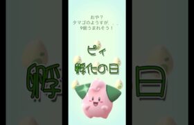 ピィ 孵化の日       #shorts #Pokemon #ポケモン #Pokemon GO #ポケモンGO