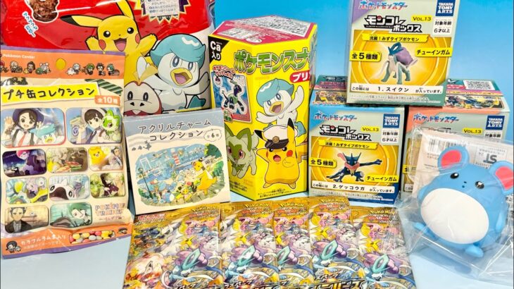 ポケモンセンタートーキョーベイ　購入商品