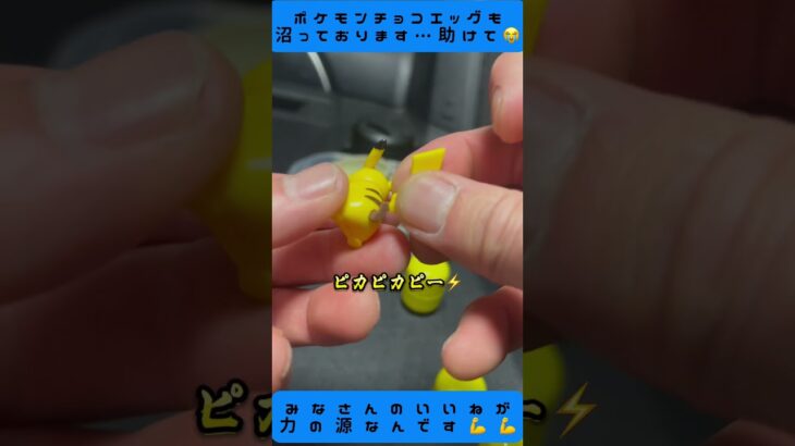 これは色違い？？それともそーいうやつ？？#ポケモン#チョコエッグ