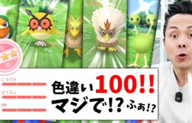 ヤバイ！！色違い100出た！！ある意味2匹出てる結果！？最高な「ひこうリサーチデイ」結果をどうぞ！【ポケモンGO】