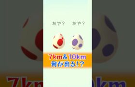 【12km&10kmたまご】何が出るかな〜♬ #ポケモンgo #ポケモン #pokemon