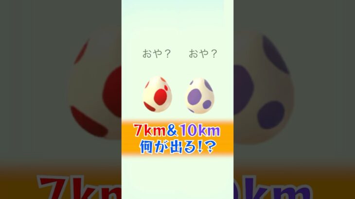 【12km&10kmたまご】何が出るかな〜♬ #ポケモンgo #ポケモン #pokemon
