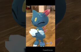 可愛さ種族値200のこねこさん #ポケモンgo #ポケgo #ポケモン #色違いポケモン #こねこ #pokemongo #pokemon #AR #goスナップショット