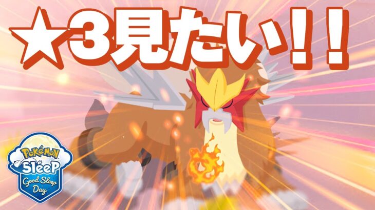 【ポケモンスリープ】5億眠気パワーならエンテイの星3寝顔が見れるやろ！！！！