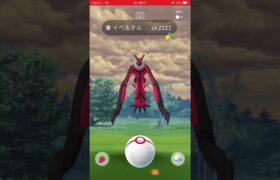 ゲットの瞬間　パート795 ポケモンgo イベルタル　#pokemon