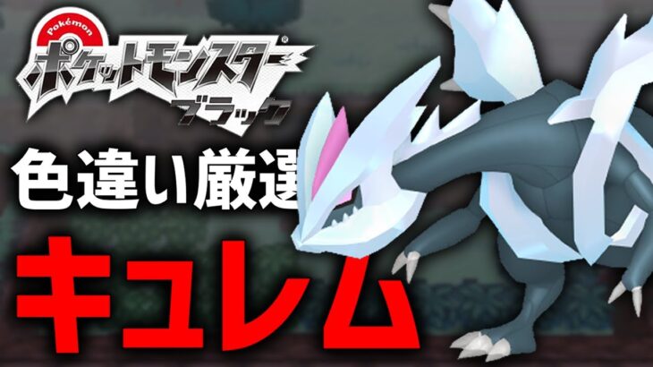 【ポケモンBW】過去作戻って色違いキュレム厳選する！