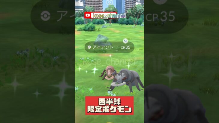 【ポケモンGO】アイアントが光った！ #西半球限定ポケモン #こうせいちゃんねる #アイアント