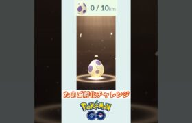 ポケモンGO  たまご孵化チャレンジ　10kmたまご　パート13 ＃ポケモン　＃ポケットモンスター　＃Pokémon ＃ポケモンGO