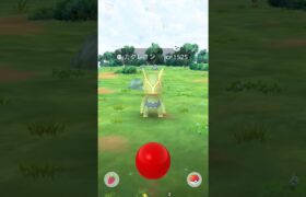 カクレオンの色違い登場！　ポケモンGO　色違い