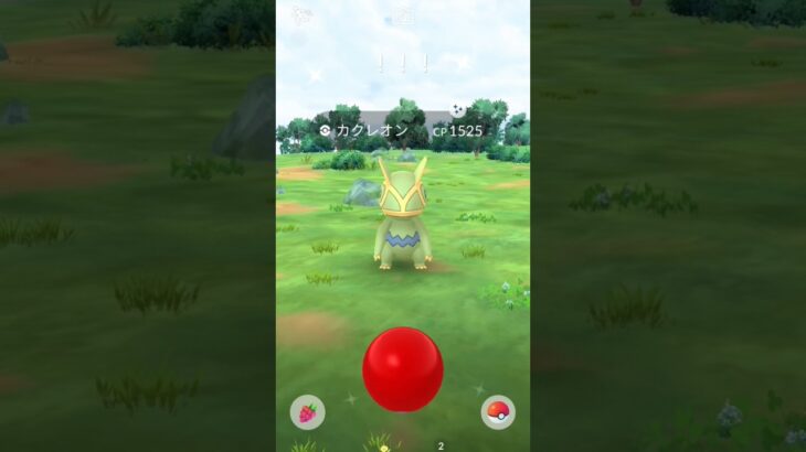 カクレオンの色違い登場！　ポケモンGO　色違い