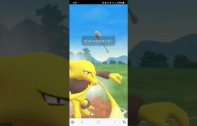 ポケモンGO マスタープレミア Lフーディン、ギャラドス、バンギラス