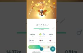 【 ポケモンGO 】 ミノムッチ（すなちのミノ）♂オス→ ガーメイル 進化！交換による キラポケモン ！【 うさぴよの巣 】#burmy #mothim #pokemongo #ポケモン #ポケgo