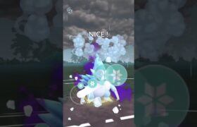 シャドウサンドパン使ってみた！　いい火力！　ポケモンGO対戦スーパーリーグ　 #pokemon