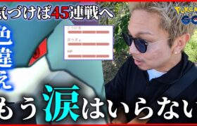 【ポケモンGO】俺のわんわん・・・色違いシャドウスイクンを救いたい・・・ただ・・・それだけだったのに・・・。【鳥の日2024】