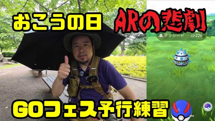 【ポケモンGO】ARの悲劇