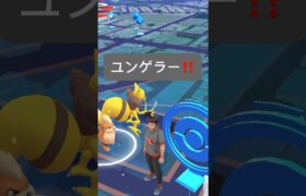 【ポケモンGO】ユンゲラーが現れた!!【✨Kadabra Pokémon GO X Pokemon Card Artwalk✨】