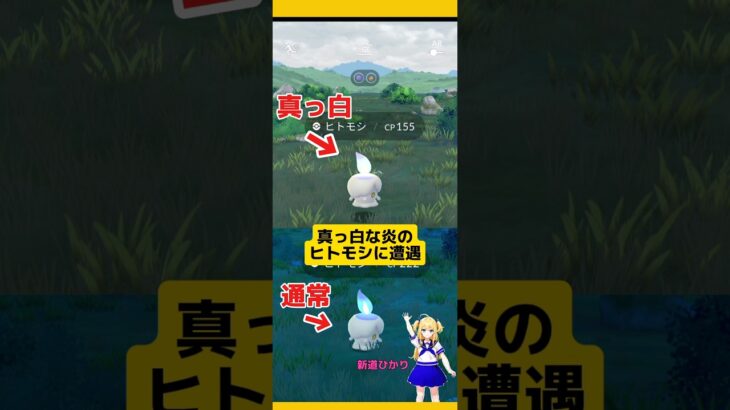 【ポケモンGO】真っ白な炎のヒトモシに遭遇！！#ポケモンgo #ヒトモシ#pokemongo #レア