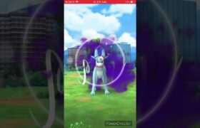 [Pokemon Go] 今日運勢‘佳’第一隻1657色違/第二隻1683準iv100 #暗影水君 #shadowsuicune