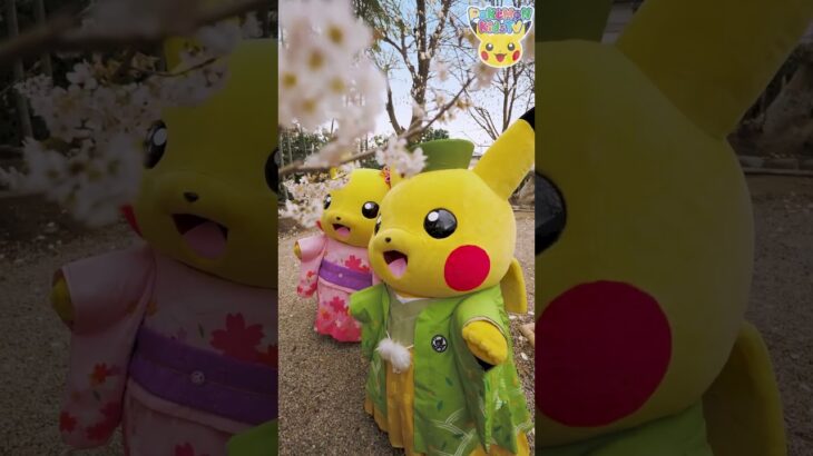 Pokémon Shorts – Kimono Pikachu –