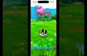 Pokémon go legendario salvaje 🤩 #pokemon #youtubeshorts #shorts #legend #anime #shorts