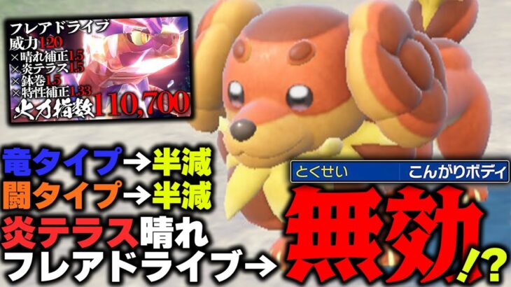 【検証】こんがりボディ「バウッツェル」で本当にコライドンを対策できるのか？【ポケモンSV】