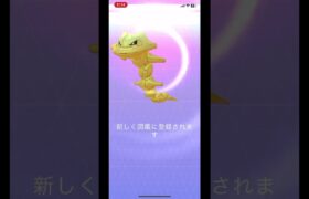 金ぴかハガネールが完成￼#ぽけもん #ポケモンgo色違い