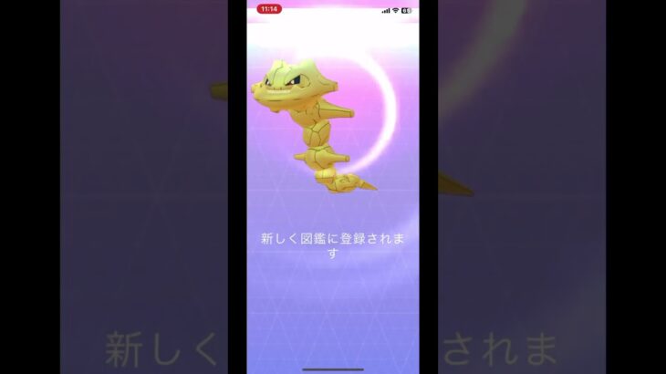 金ぴかハガネールが完成￼#ぽけもん #ポケモンgo色違い