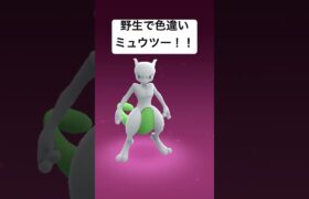 野生で色違いミュウツー！！#ゲーム #ポケモンgo