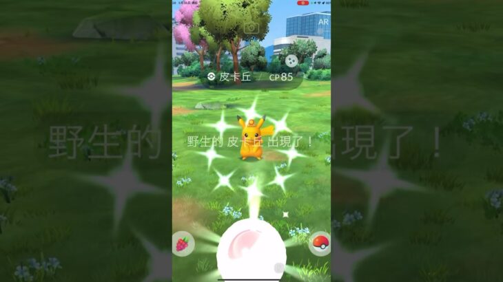 色違太陽頭冠皮卡丘 #ポケモンgo #pokemon #gofest2024