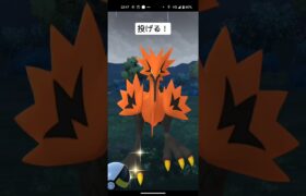 ガラルサンダー発見！結果は…#ポケモンgo #ガラルサンダー #おさんぽお香 #おすすめにのりたい #shorts #pokemon #pokemongo