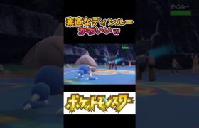 カポエラーの動きに会わせて、首を動かすディンルー  #ポケモン #pokemon #shorts