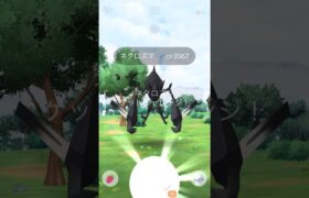 ついに‼ネクロズマ登場🌀✨️初戦🤛 #pokemongo #ポケモンgo