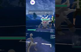 ポケモンゴー対戦エンニュート＆メレシー＆ジャローダ