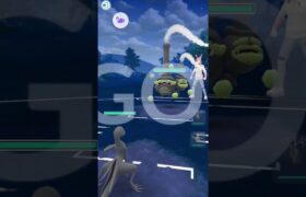 ポケモンゴー対戦エンニュート＆バルジーナ＆ペリッパー