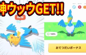 ポケスリ課金100万円がサマーフェスティバルでゲットしたウッウがヤバすぎた【ポケモンスリープ】【ポケスリ】【Pokémon Sleep】