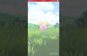 15分『ガラル三鳥探し』♥️No.616♥️【ポケモンGO】#shorts #ポケモン  #ゲーム実況