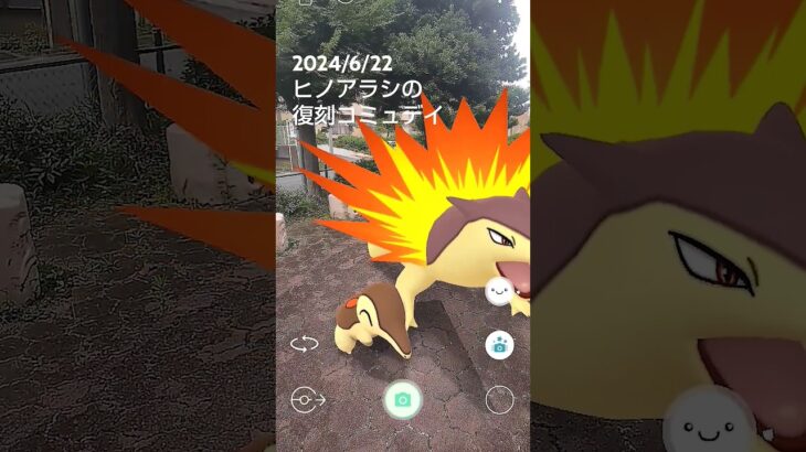 【24/6/22ヒノアラシの復刻コミュデイ】 #pokémongo #ポケモンgo #ポケモン #ヒノアラシ #バクフーン