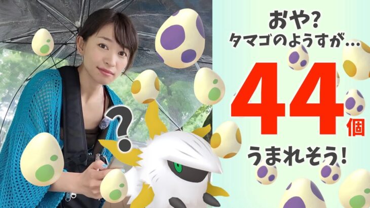 色違いメラルバ出るか！？44個たまご孵化した結果…!?炎のステップ初日レポート！【ポケモンGO】