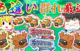 【ポケモン】5体同時色違いジグザグマ？！ORASの群れ色違い厳選が面白すぎる件【ゆっくり実況】