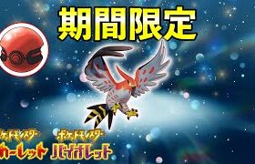 ふしぎなおくりもの配信！特別6V『丸腰ファイアロー』期間限定で配布開始【ポケモンSV】