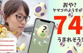 おや？たまごが74個うまれそう！ヒノアラシのコミュニティデイで色違いメラルバ産まれてほしいと思ったらふらふらふらふら【ポケモンGO】