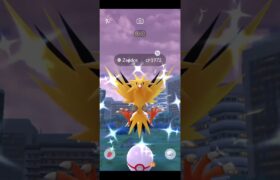 Finally! Shiny Zapdos  | Pokemon go Raids June | Pokemon go | #pokemongo #raid #shorts