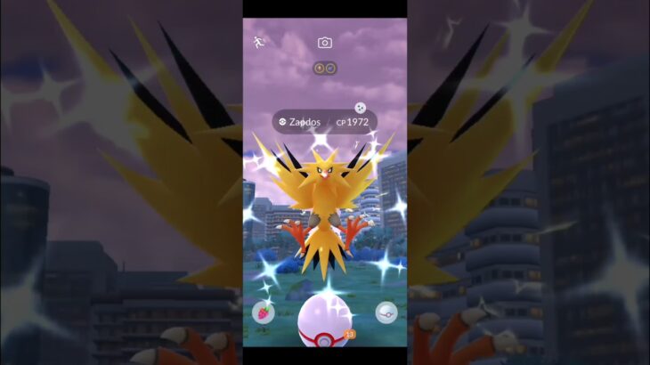 Finally! Shiny Zapdos  | Pokemon go Raids June | Pokemon go | #pokemongo #raid #shorts