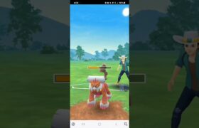 ポケモンGO マスターリーグ ミュウツー、ボーマンダ、ドリュウズ(…伝説パをやってみたい…)