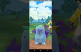 サマーカップ【ポケモンGO】アマージョ、プクリン、デンヂムシ