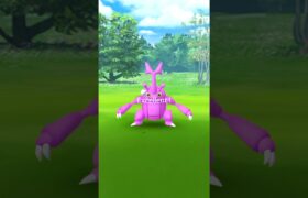 【ポケモンGO】ヘラクロスの色違いゲッチュ！！