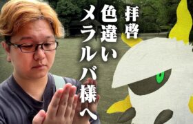 拝啓、色違いメラルバ様。【ポケモンGO】